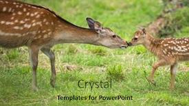  Presentation with deer - Audience pleasing slide set consisting of little-sika-deer backdrop and a yellow colored foreground