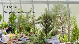  Presentation with plants growing - Beautiful presentation theme featuring little-trees-and-many backdrop and a mint green colored foreground