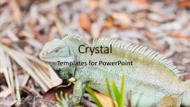  Presentation with rock - Audience pleasing presentation consisting of little water cay in turk backdrop and a  colored foreground