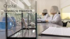  Presentation with lab mouse - Presentation design with little-white-mouse-in-glass background and a soft green colored foreground
