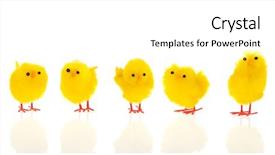  Presentation with chick - PPT layouts with little yellow easter decoration chicks background and a  colored foreground