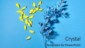  Presentation with blue floral - Cool new presentation theme with little yellow flowers petals backdrop and a teal colored foreground