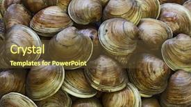  Presentation with clams - Cool new slide set with littleneck clams for pattern background backdrop and a tawny brown colored foreground