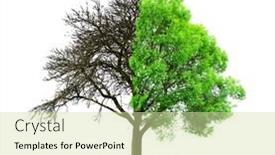  Presentation with climate change - Colorful slide deck enhanced with live-and-dead-tree-isolated backdrop and a soft green colored foreground