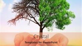  Presentation with climate change - Colorful slides enhanced with live-and-dead-tree backdrop and a coral colored foreground