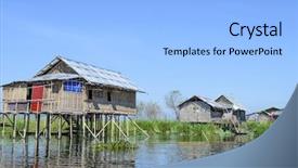  Presentation with bamboo - Cool new PPT theme with live bamboos - house on bamboo stilts backdrop and a light blue colored foreground