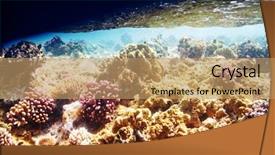  Presentation with living coral - Beautiful slides featuring live fish - living coral reef in red backdrop and a coral colored foreground