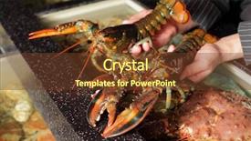  Presentation with cancer - Amazing slide deck having live fish - living marine two cancer backdrop and a tawny brown colored foreground