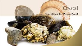  Presentation with live - Amazing PPT layouts having live-freshly-caught-sea-mollusks backdrop and a lemonade colored foreground