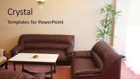  Presentation with asian paint vintage style old - Amazing theme having cutlets composition on a white background close-up backdrop and a soft green colored foreground