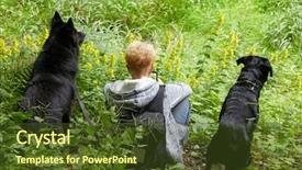  Presentation with black woman - Slide deck with live theme - young woman texting background and a tawny brown colored foreground