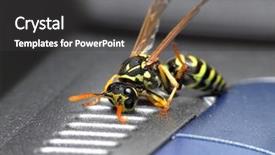  Presentation with mechanical ventilation industrial pipes hvac - Amazing PPT layouts having  backdrop and a  colored foreground