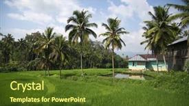  Presentation with paddy field - Presentation with livelihood - paddy field and coconut trees background and a tawny brown colored foreground