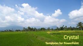  Presentation with livelihood village - Colorful PPT theme enhanced with livelihood - paddy field in a rural backdrop and a tawny brown colored foreground
