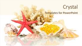  Presentation with oil and gas - PPT layouts featuring liver stones - concept fish oil background and a  colored foreground