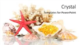  Presentation with marine - Slides enhanced with liver stones - concept fish oil background and a  colored foreground