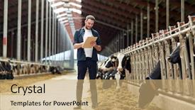  Presentation with young happy people smiling - Beautiful PPT theme featuring livestock - agriculture industry farming people backdrop and a coral colored foreground