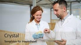  Presentation with research engineer - Theme enhanced with livestock - contemporary vet or engineer background and a coral colored foreground