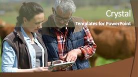  Presentation with livestock - Amazing presentation having livestock - couple of stock breeders using backdrop and a coral colored foreground