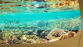  Presentation with living coral - Colorful PPT theme enhanced with living-coral-reef-in-red backdrop and a teal colored foreground
