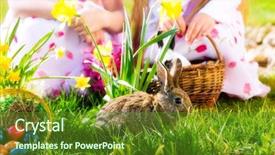  Presentation with easter basket - Presentation theme featuring living easter bunny with eggs background and a tawny brown colored foreground