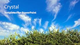  Presentation with light green - Presentation theme consisting of living-green-coniferous-hedge-bright background and a teal colored foreground