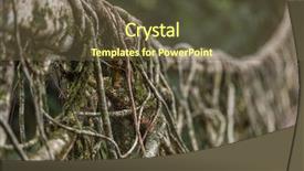  Presentation with village india - Presentation theme with living roots bridge near nongriat background and a tawny brown colored foreground