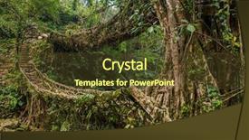  Presentation with tree roots - Audience pleasing slide deck consisting of living roots bridge near nongriat backdrop and a tawny brown colored foreground