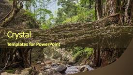  Presentation with tree roots - PPT layouts featuring living roots bridge near nongriat background and a tawny brown colored foreground