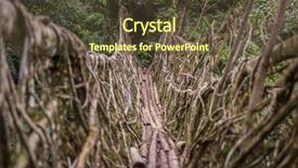  Presentation with tree roots - Beautiful theme featuring living roots bridge near nongriat backdrop and a tawny brown colored foreground