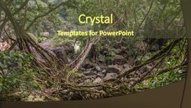  Presentation with tree roots - Cool new PPT theme with living roots bridge near nongriat backdrop and a tawny brown colored foreground