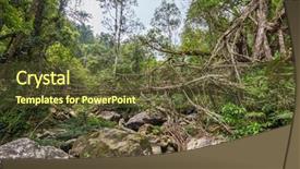  Presentation with tree roots - Theme consisting of living roots bridge near nongriat background and a tawny brown colored foreground