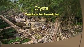  Presentation with tree roots - Slides having living roots bridge near nongriat background and a tawny brown colored foreground