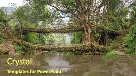 Presentation with tree roots - Amazing PPT theme having living roots bridge near nongriat backdrop and a tawny brown colored foreground