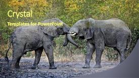  Presentation with elephants - Amazing presentation design having liwonde national park malawi backdrop and a tawny brown colored foreground