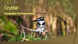  Presentation with arches national park - Amazing presentation theme having liwonde national park malawi backdrop and a  colored foreground