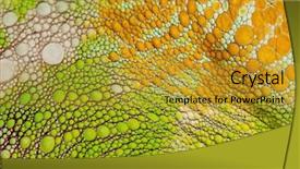  Presentation with skin - Theme having lizard - close-up of four-horned chameleon skin background and a gold colored foreground