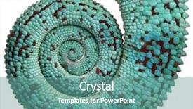  Presentation with pink panther - Theme featuring lizard - close-up of panther chameleon nosy background and a seafoam green colored foreground