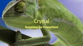  Presentation with families - Amazing PPT layouts having lizard families chameleon backdrop and a tawny brown colored foreground