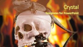  Presentation with agama - Beautiful PPT theme featuring lizard fire agama on black backdrop and a tawny brown colored foreground