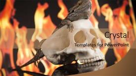  Presentation with agama - PPT theme having lizard fire agama on black background and a  colored foreground