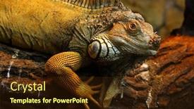  Presentation with tree - Audience pleasing presentation theme consisting of lizzard-on-a-tree backdrop and a wine colored foreground