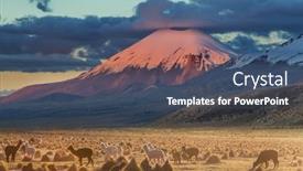  Presentation with america - PPT theme consisting of llama-in-high-mountains-bolivia background and a ocean colored foreground