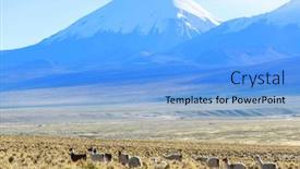  Presentation with america - PPT theme having llama-in-high-mountains-bolivia background and a light blue colored foreground