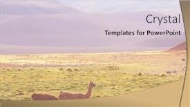  Presentation with remote - Cool new slides with llama-in-remote-area backdrop and a lemonade colored foreground