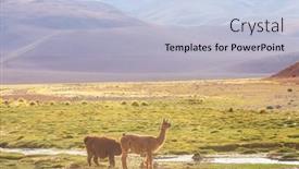  Presentation with remote - Slide deck consisting of llama-in-remote-area background and a light blue colored foreground