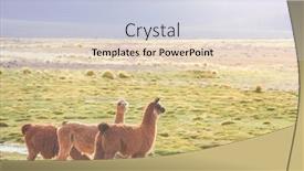  Presentation with remote - Presentation theme consisting of llama-in-remote-area background and a lemonade colored foreground