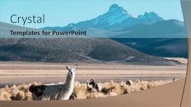  Presentation with remote - Presentation theme with llama-in-remote-area background and a light blue colored foreground