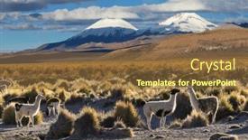  Presentation with remote - PPT theme consisting of llama-in-remote-area background and a tawny brown colored foreground