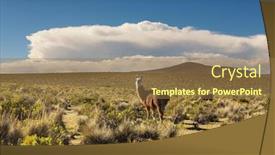  Presentation with model village - Theme with llama-near-bolivian-village background and a coral colored foreground